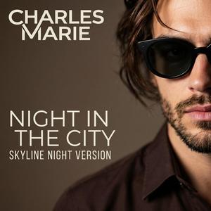 Night in the city (Skyline Night Version)