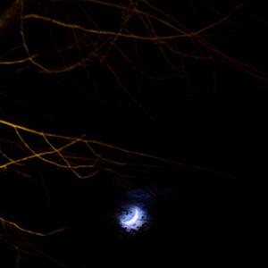 Pray für dich (feat. sk8er)