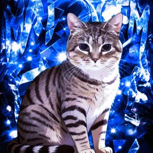 montagem miau（Explicit)