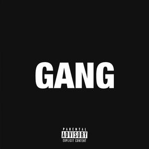 Gang (feat. OFB, Bandokay, Kush & Lowkey)