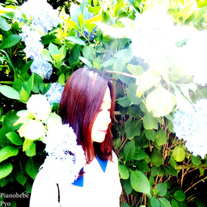 Avenue Des Champs Elysees (Pyo Ver.)