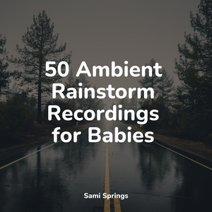 Rustling Woodland Gales