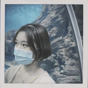 你的眼睛像星星（更新）