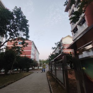 废墟之上独舞一场