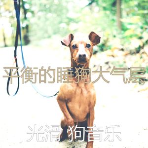 精彩幼犬环境
