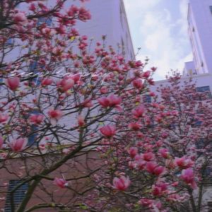 我要你