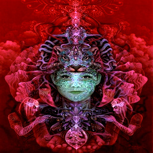 Ritual Ayahuasca o Recomeço da Jornada
