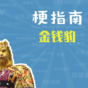 金钱豹是什么梗【梗指南】