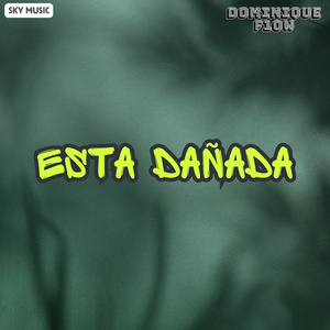 Esta Dañada