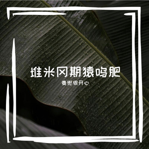 鞋带