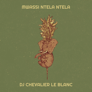 Mwassi ntela ntela