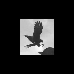 Cuantos Latidos Soportará Mi Cuerpo