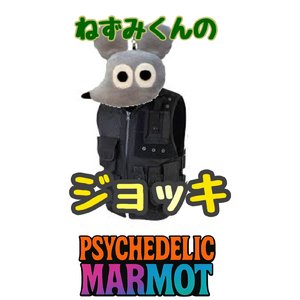 ねずみくんの防弾チョッキ