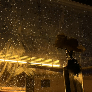 雨中随想demo1.wav