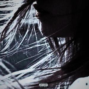 WONTHEAL (feat. SABRE)