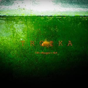 TROIKA