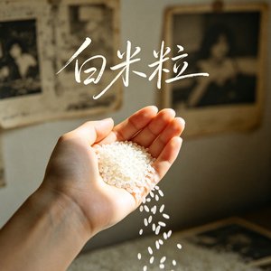 白米粒