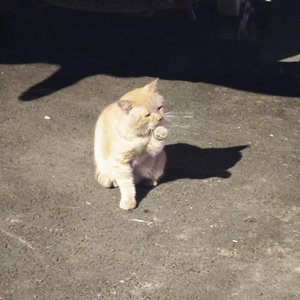 夏日街头