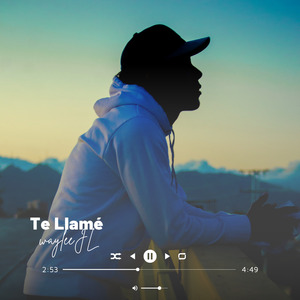 Te Llamé