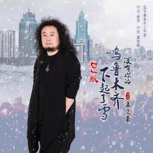 没有你的乌鲁木齐下起了雪（DJ版）
