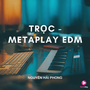 Trọc (Metaplay EDM)