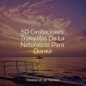 Ecos en Cielos Temblorosos