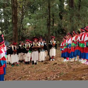 马缨花开等你来