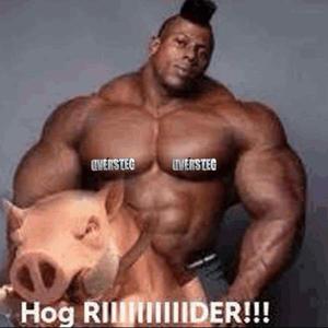 Oversteg 2026 (Goonesnekk)