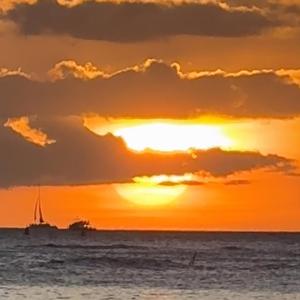 Attraction (Radio Edit)