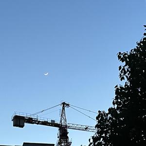 十一年