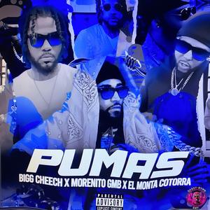 Pumas (feat. Morenitogmb & El Monta Cotorra) (Remix)