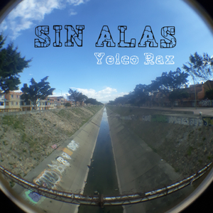 Sin Alas