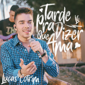 Tarde pra Dizer Que Ama