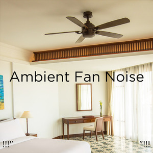 ホワイトノイズスリープ