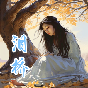 深圳（剧场版）