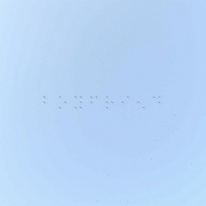 Boyfriend:Too?