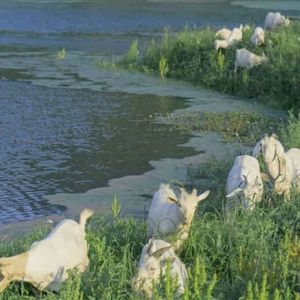 TG-2023-06-30-130320963_20230722_105115