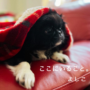 ここにいること。