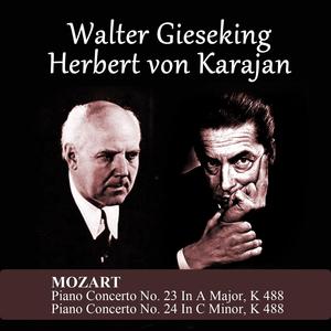 Piano Concerto No. 23 In A Major, K 488: II. Adagio