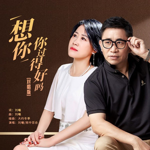 想你你过得好吗 (对唱版)