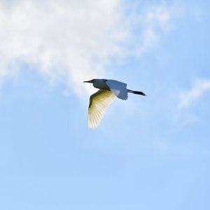 夏天我代言