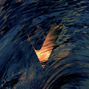 Descontrol (Bonus Track)