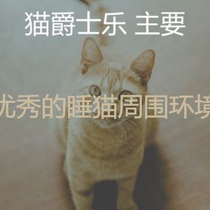 温和小猫梦想