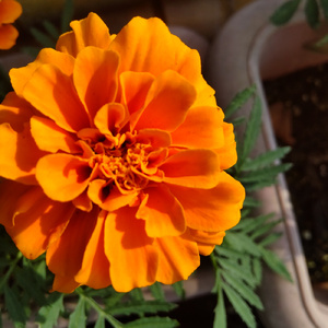 歓喜を起こせよ