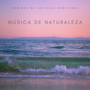 Olas Rompiendo En Las Rocas