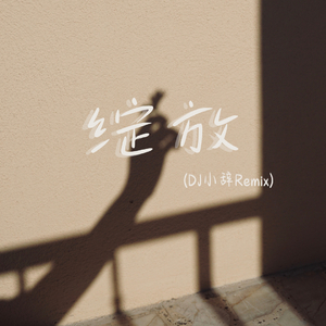 绽放（DJ小辞Remix）