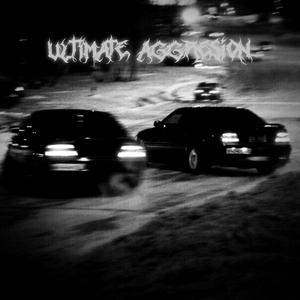 ULTIMATE AGGRESION