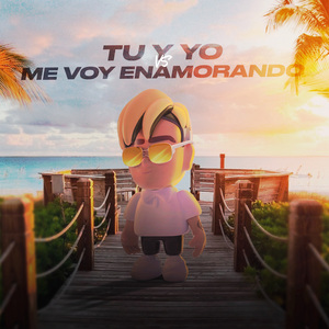 Tu y Yo Vs Me voy Enamorando (Mashup DJ Mix)