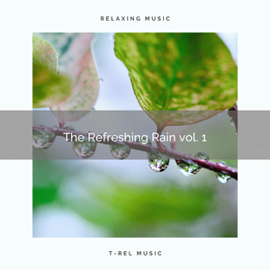 Perfect and Great Rain Drops Sounds for You to Have Sweet Dreams