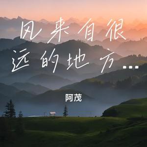 风来自很远的地方，去去也无妨